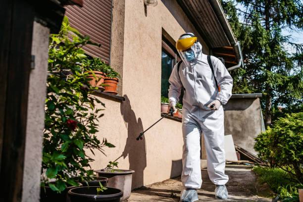 Best Best Pest Control Companies  in West Sand Lake, NY