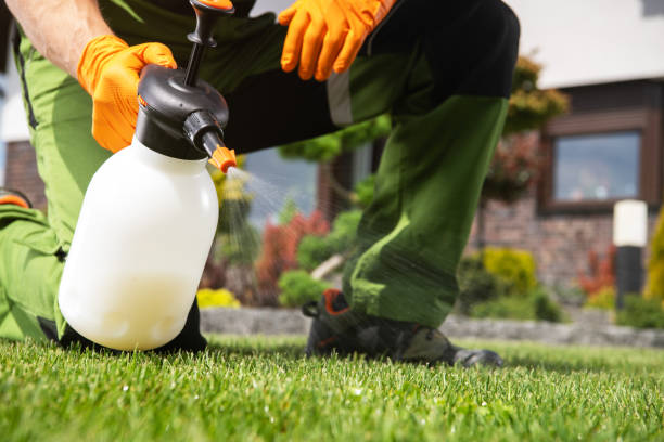 Best Wildlife Control Services  in West Sand Lake, NY