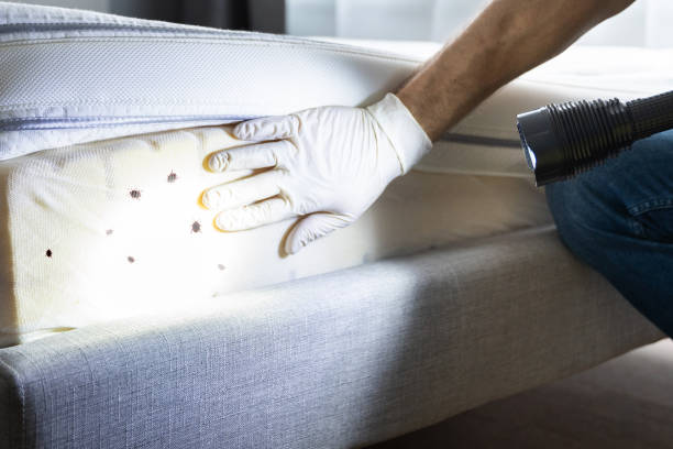 Best Pest Inspection Near Me  in West Sand Lake, NY